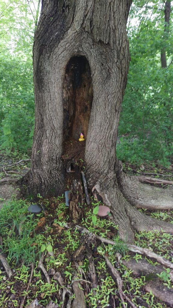 Finding Fairy Houses in the Twin Cities